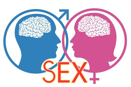 sex là gì? những cách thức sex của con người