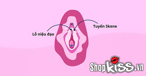 Dâm thủy là gì? Bí quyết giúp “cô bé” tuôn trào nước sướng 4 dâm thủy là gì dạng squirting