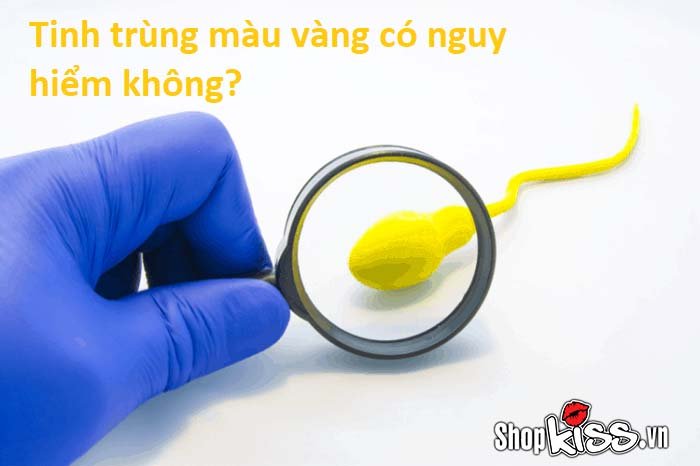 Tinh trùng màu vàng là gì?