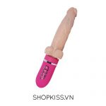 Dương vật giả đa năng Jeuplay Louis V DV44N mua ở đâu