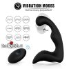Máy massage hậu môn và tuyến tiền liệt LANDY giá rẻ tại hcm