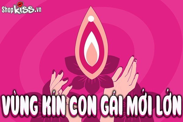 Vùng kín con gái mới lớn