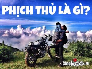 Phịch thủ là gì?