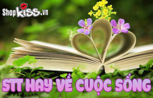 STT hay về cuộc sống