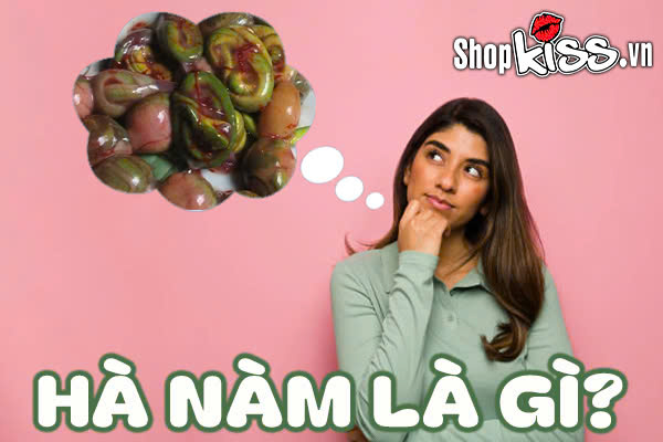 Hà nàm là gì?