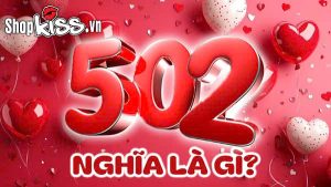 502 nghĩa là gì?