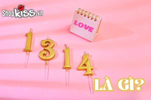 1314 là gì?