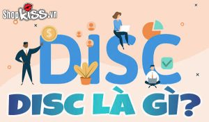 DISC là gì?