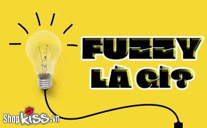 Fuzzy là gì?