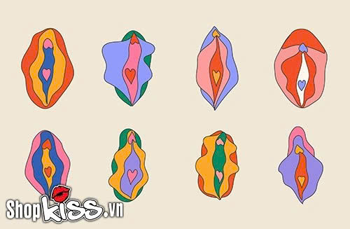 Môi bé là gì? Cấu tạo, chức năng và cách chăm sóc môi bé 4 Chức năng của Môi bé là gì?