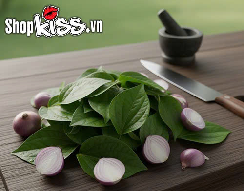 Chữa yếu sinh lý bằng lá lốt - Cách làm đơn giản mà hiệu quả 5 Cách chữa yếu sinh lý bằng lá lốt tại nhà