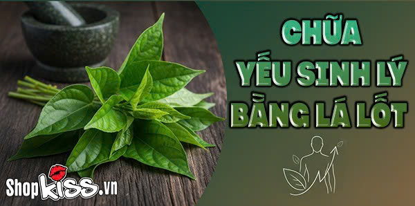 Chữa yếu sinh lý bằng lá lốt - Cách làm đơn giản mà hiệu quả 1 Chữa yếu sinh lý bằng lá lốt