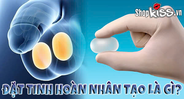 Đặt tinh hoàn nhân tạo là gì? Phương pháp này an toàn không? 1 Đặt tinh hoàn nhân tạo là gì?