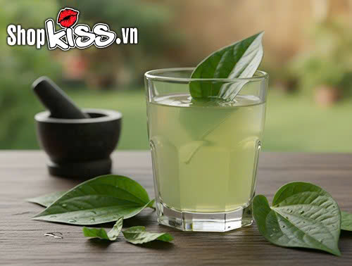 Chữa yếu sinh lý bằng lá lốt - Cách làm đơn giản mà hiệu quả 4 Hướng dẫn chữa yếu sinh lý bằng lá lốt