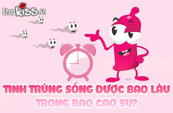 Tinh trùng sống được bao lâu trong bao cao su sau khi xuất? 1 Tinh trùng sống được bao lâu trong bao cao su?