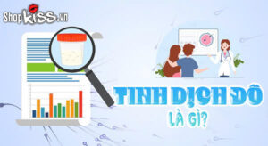 Tinh dịch đồ là gì?
