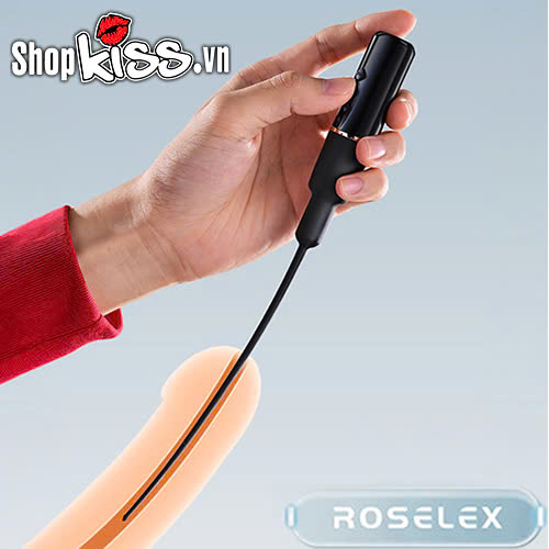 Thanh rung kích thích niệu đạo Dole Horse Eye Roselex (DC11U) 9 Thanh rung kích thích niệu đạo Dole Horse Eye Roselex có tốt không