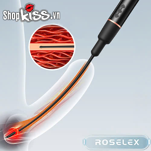 Thanh rung kích thích niệu đạo Dole Horse Eye Roselex (DC11U) 15 Thanh rung kích thích niệu đạo Dole Horse Eye Roselex giá bao nhiêu