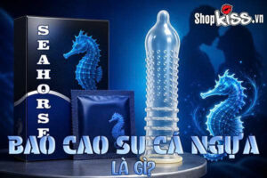 Bao cao su cá ngựa là gì?
